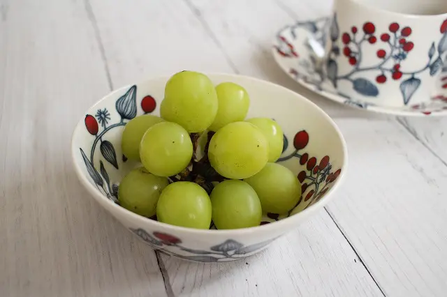 2024年】アラビア・ルノ フロストベリーはどこで購入できる？ | DAILY